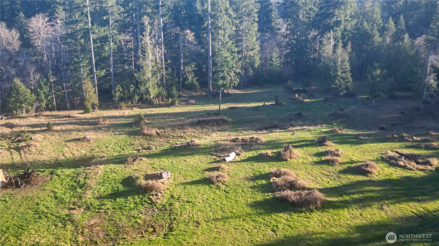 443 Elma Hicklin rd W