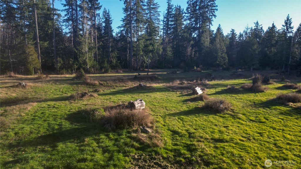 Photo of 443 Elma Hicklin rd Rd W, McCleary, WA 98557 (MLS # 2470978)