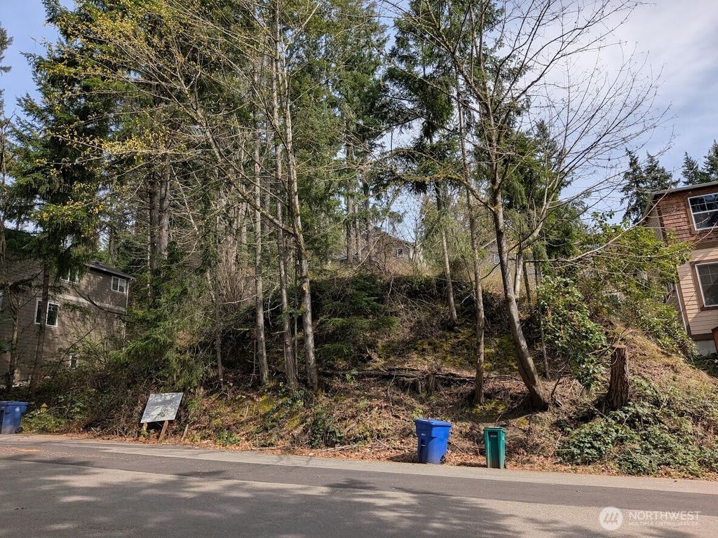 Photo of 1324 211th Avenue NE, Sammamish, WA 98074 (MLS # 2500085)