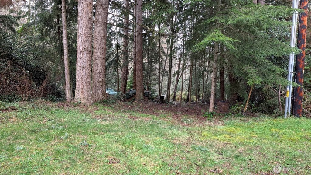 Photo of 0 Worthy Place, Greenbank, WA 98253 (MLS # 2489590)