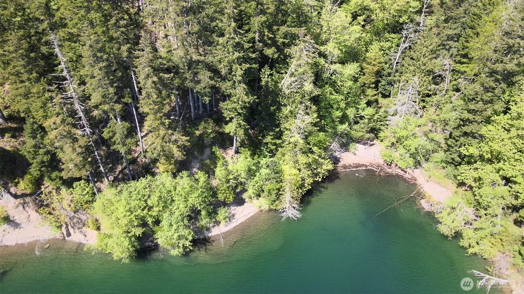 Photo of 650 W Cushman Ridge Drive, Hoodsport, WA 98548 (MLS # 2516379)