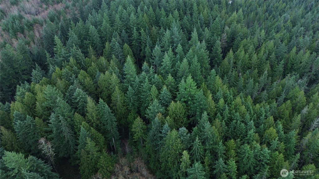 Photo of 17425 McElroy Road, Arlington, WA 98223 (MLS # 2496885)