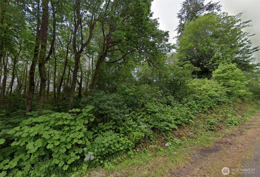 Photo of 99 Airport Road, Raymond, WA 98577 (MLS # 2563203)