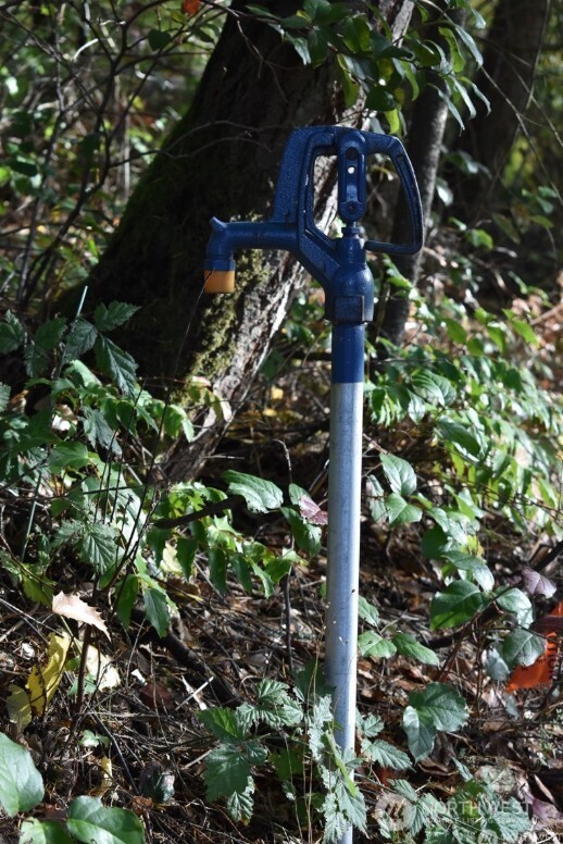 3413 W Tapps Drive E