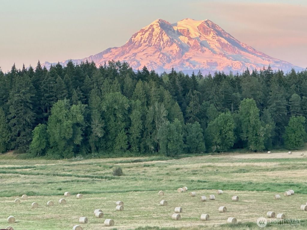 Photo of 44302 32nd Ave E, Eatonville, WA 98328 (MLS # 2480015)