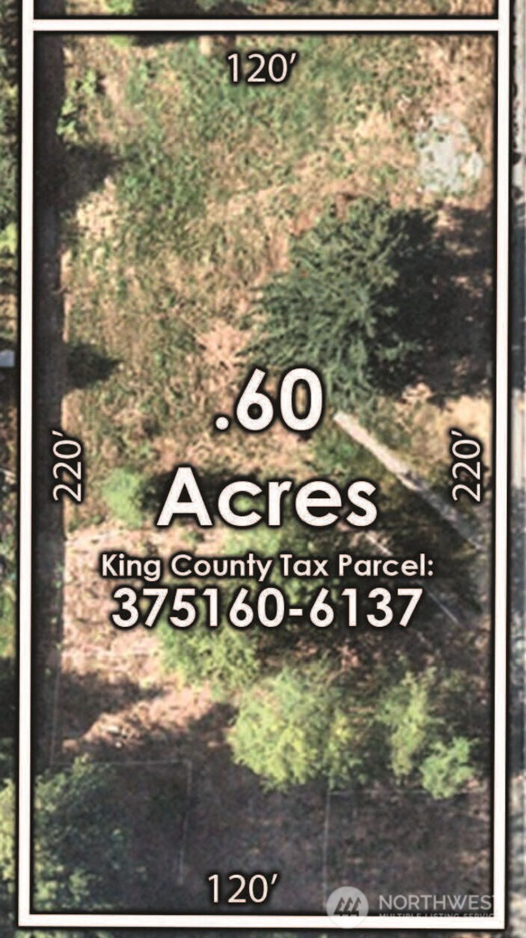 Photo of 36829 52ND Avenue S, Auburn, WA 98001 (MLS # 2413314)