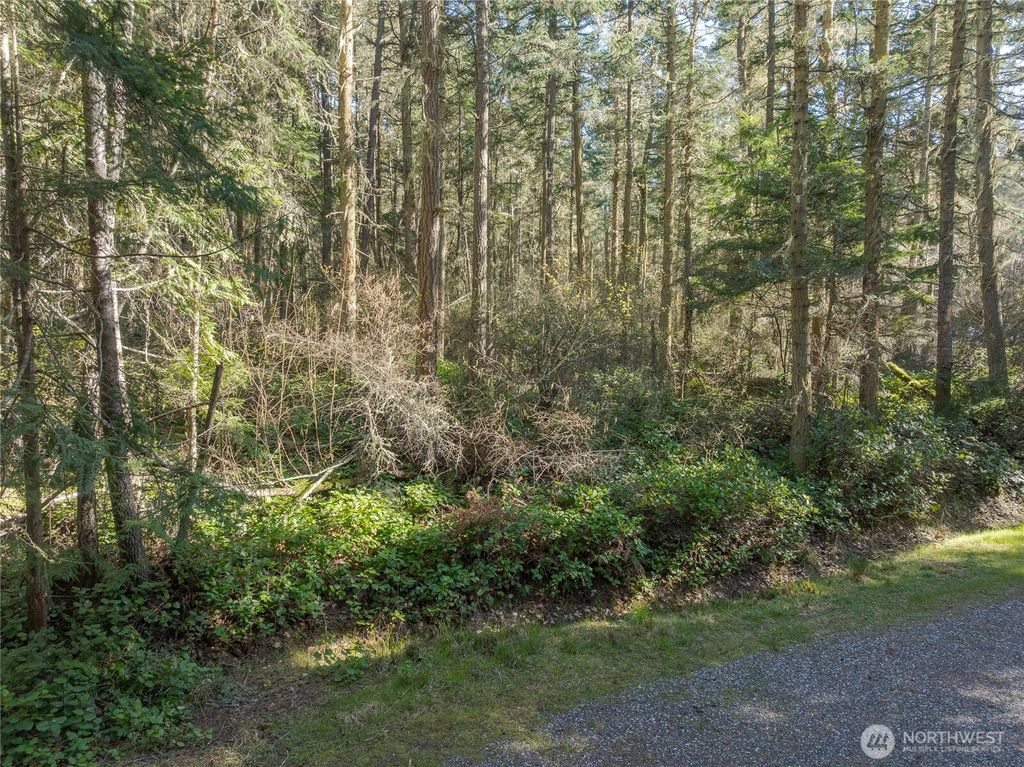 Photo of 0 King's Point Road, Lopez Island, WA 98261 (MLS # 2499345)