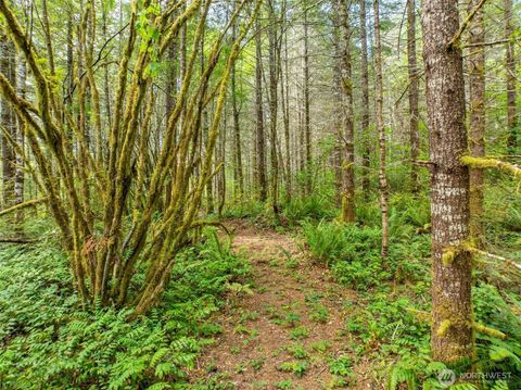 0 Lincoln Creek Road Rochester WA 98579