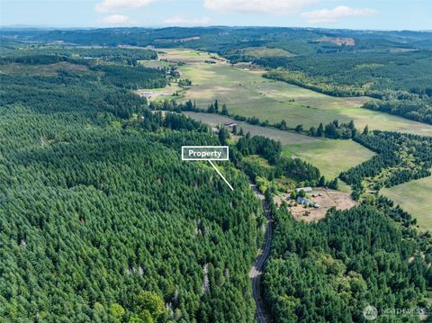 Photo of 0 Lincoln Creek Road, Rochester, WA 98579 (MLS # 2428149)