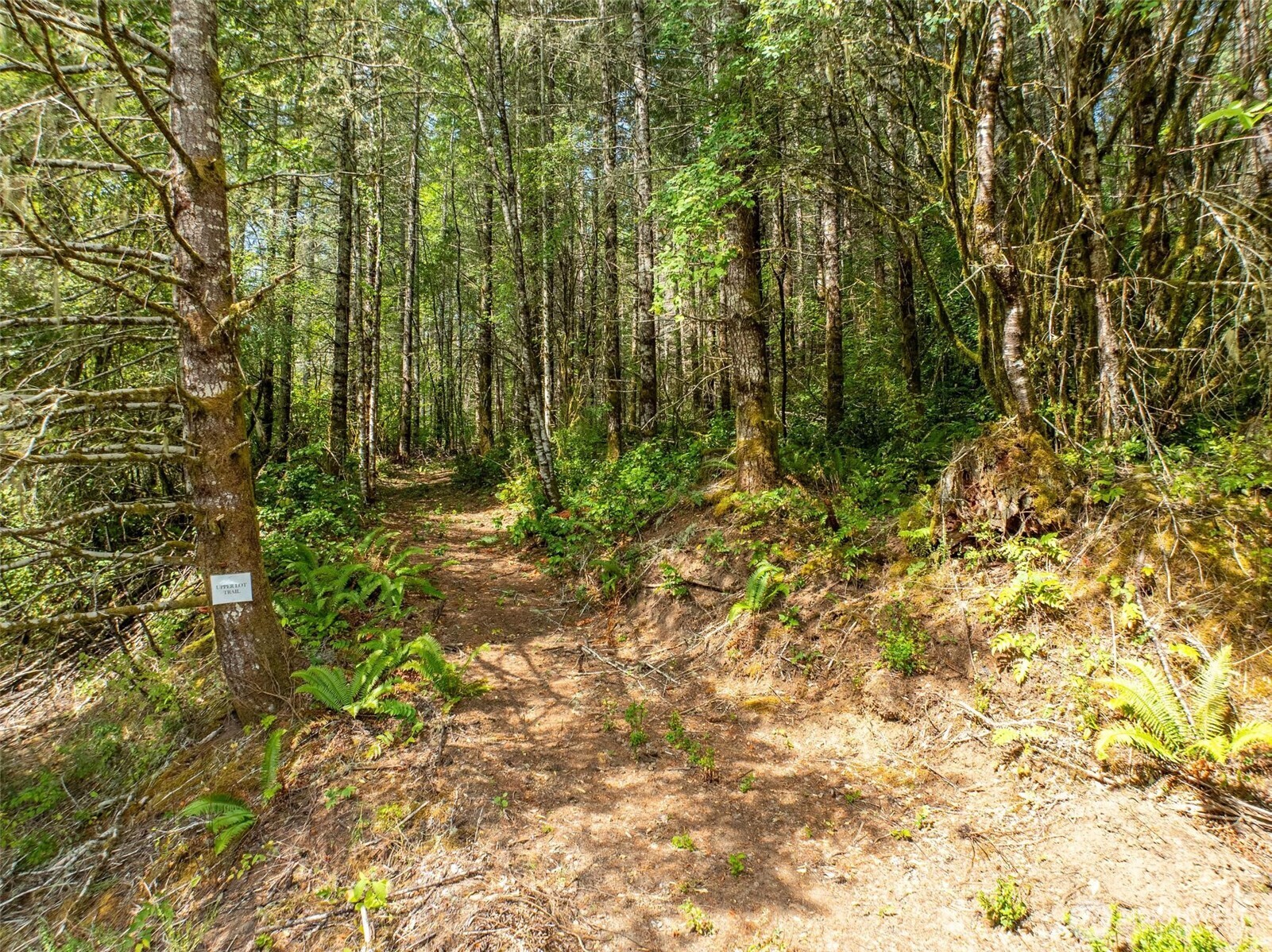 0 Lincoln Creek Road