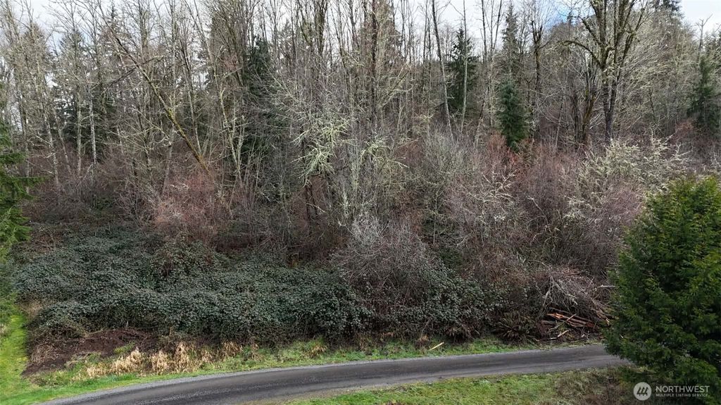 Photo of 0 Ciannigan Hill, Mossyrock, WA 98564 (MLS # 2487455)