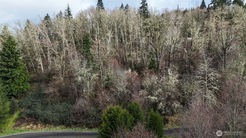 Photo of 0 Ciannigan Hill, Mossyrock, WA 98564 (MLS # 2487455)