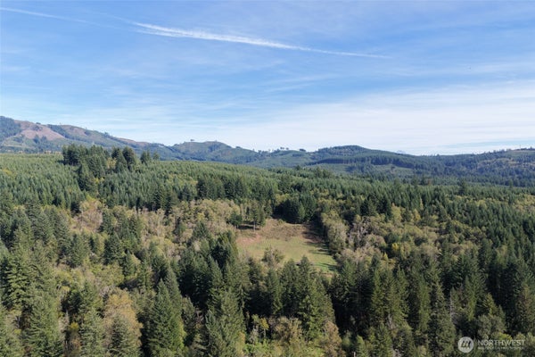 33827 NE LESSARD RD, CAMAS, WA 98607 - Image 8fbc58ef62dc19dcd1605d941ae7d24f/895937480