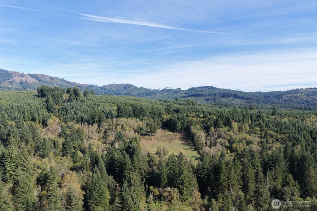 Photo of 33827 NE Lessard Road, Camas, WA 98607 (MLS # 2594203)