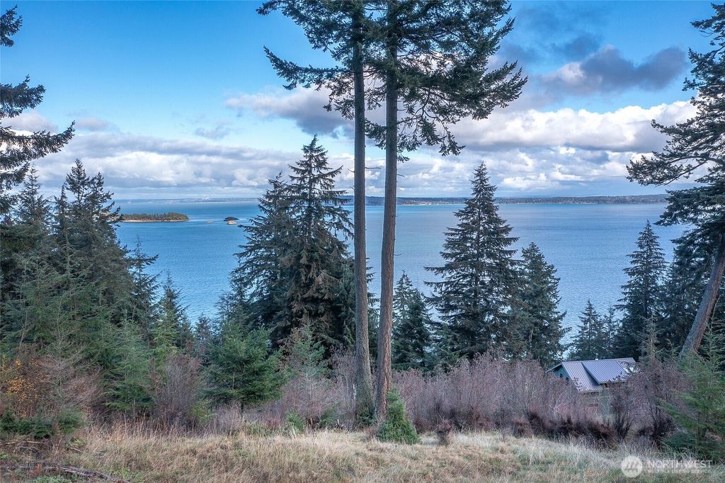 Photo of 359 Georgia Strait Lane, Orcas Island, WA 98245 (MLS # 2515918)