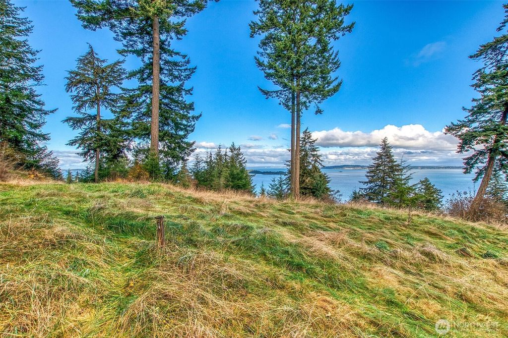 Photo of 359 Georgia Strait Lane, Orcas Island, WA 98245 (MLS # 2515918)