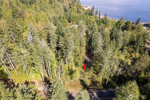 0 E Mason Avenue Union WA 98592