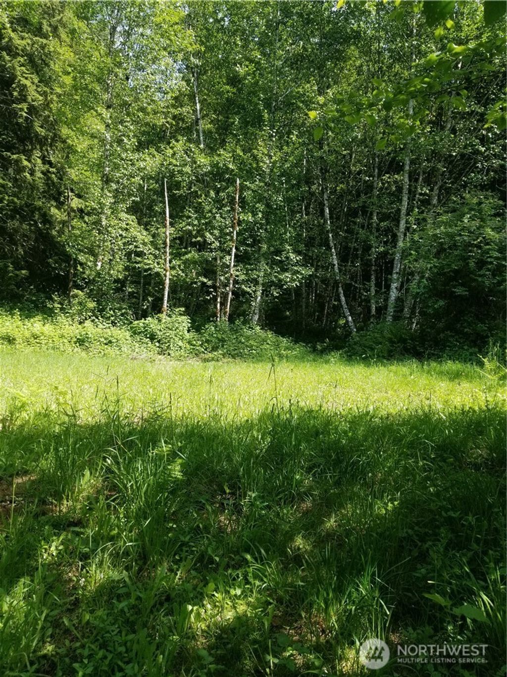 Photo of 0 Garneys Road, Kelso, WA 98626 (MLS # 2552428)
