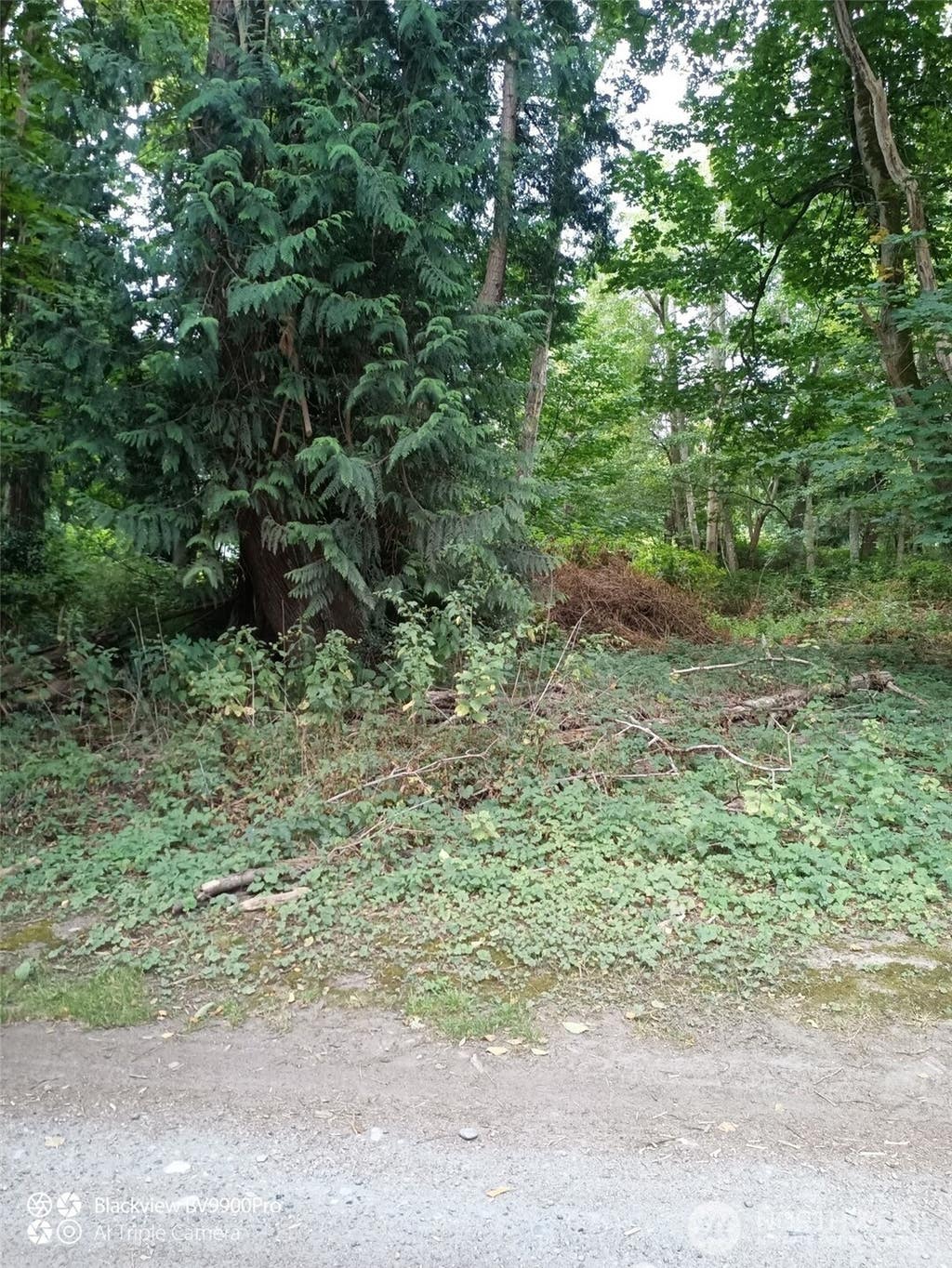 Photo of 51 F Saratoga Drive, Hat Island, WA 98206 (MLS # 2566335)