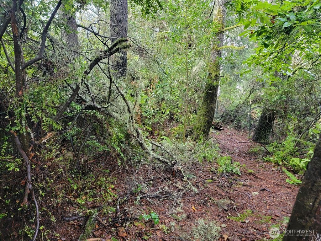 Photo of 1543 Dicks Lane, Westport, WA 98595 (MLS # 2461447)