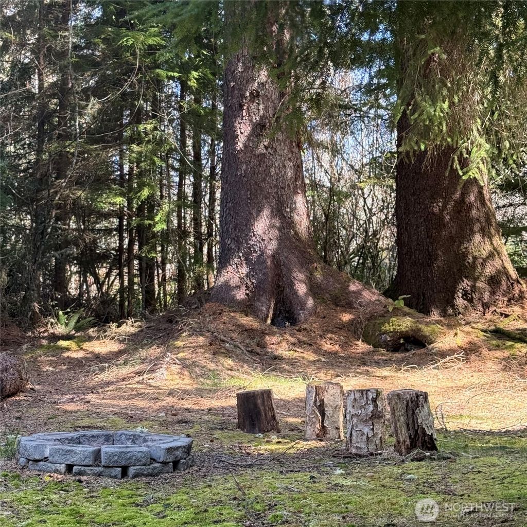Photo of 15500 Birch Street, Long Beach, WA 98631 (MLS # 2517303)