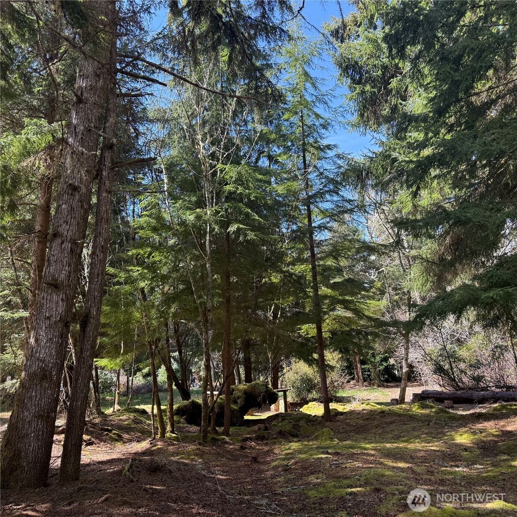 Photo of 15500 Birch Street, Long Beach, WA 98631 (MLS # 2517303)