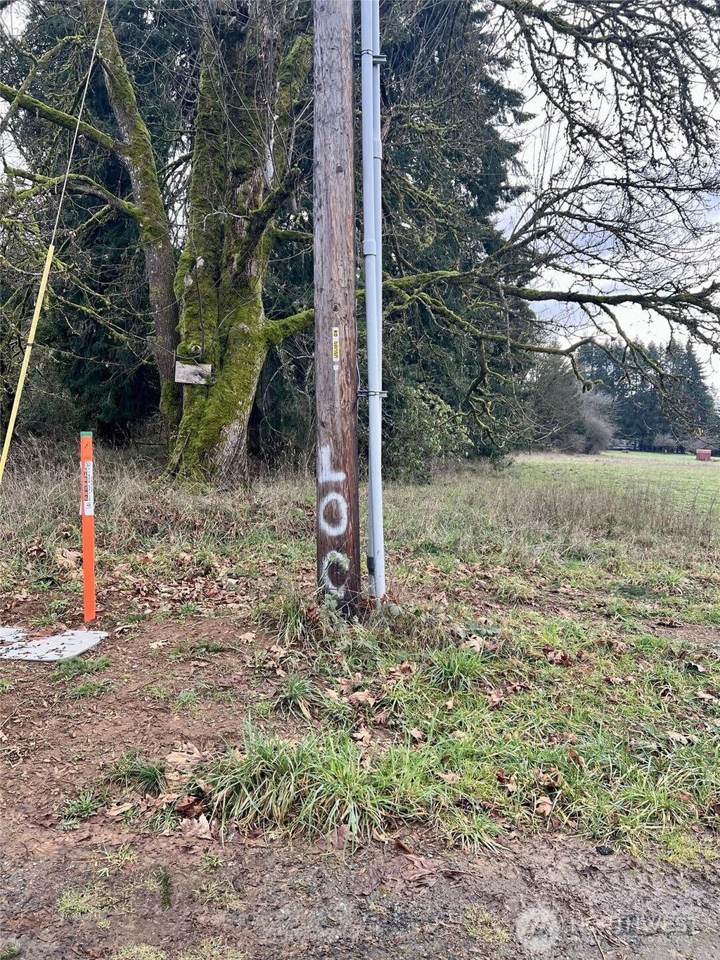 Photo of 2 NE Jabez Street, Winlock, WA 98596 (MLS # 2475821)