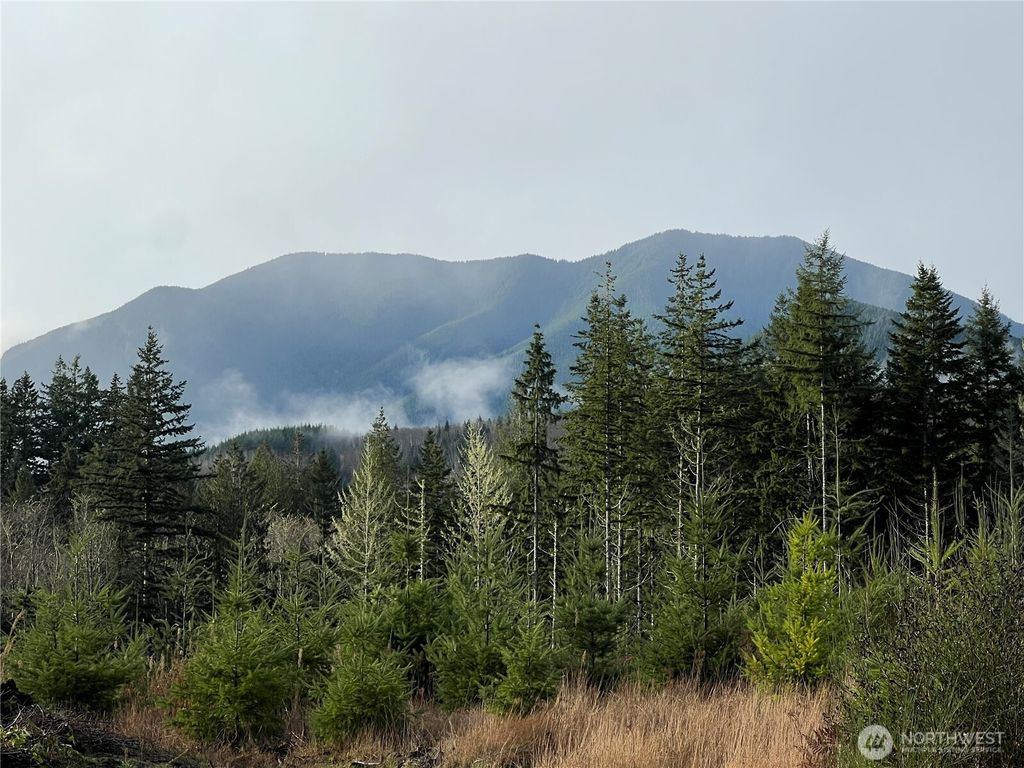 Photo of 3 xxx Snow Creek Road, Quilcene, WA 98376 (MLS # 2461047)