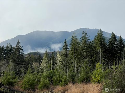 Photo of 3 xxx Snow Creek Road, Quilcene, WA 98376 (MLS # 2461047)