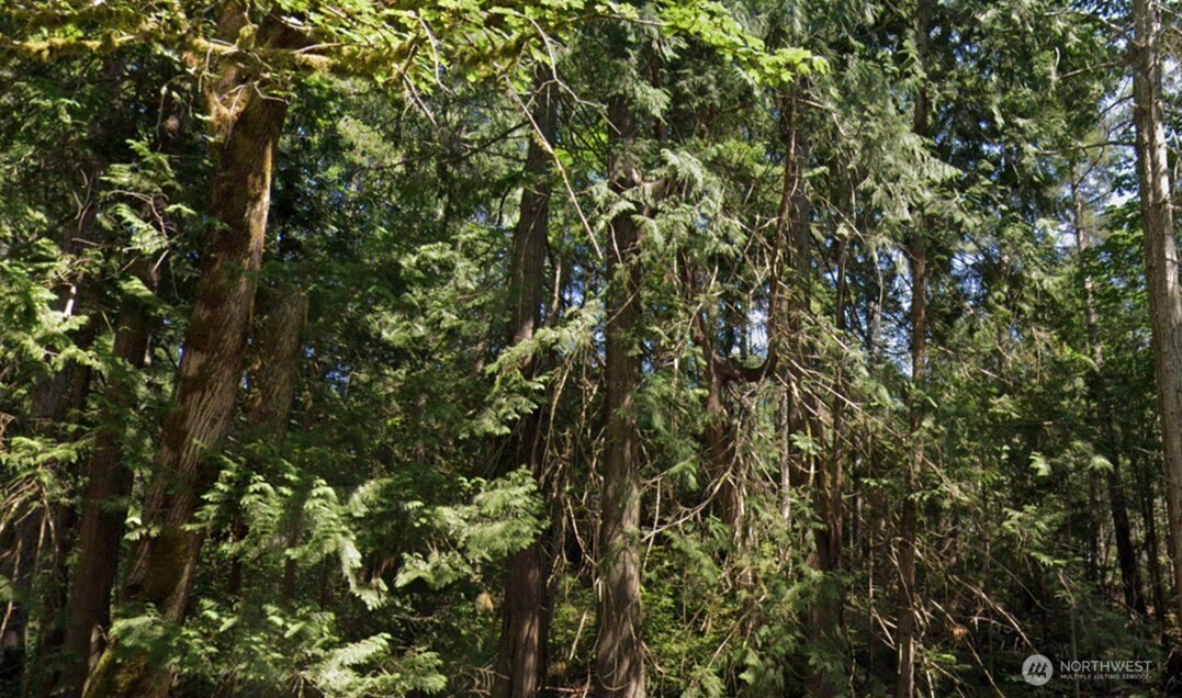 0 Parcel 932100617 BLK 6