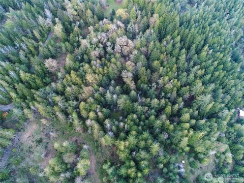 0 Parcel 932100617 BLK 6 Brinnon WA 98320