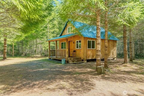 156 Sasquatch Lane Packwood WA 98361