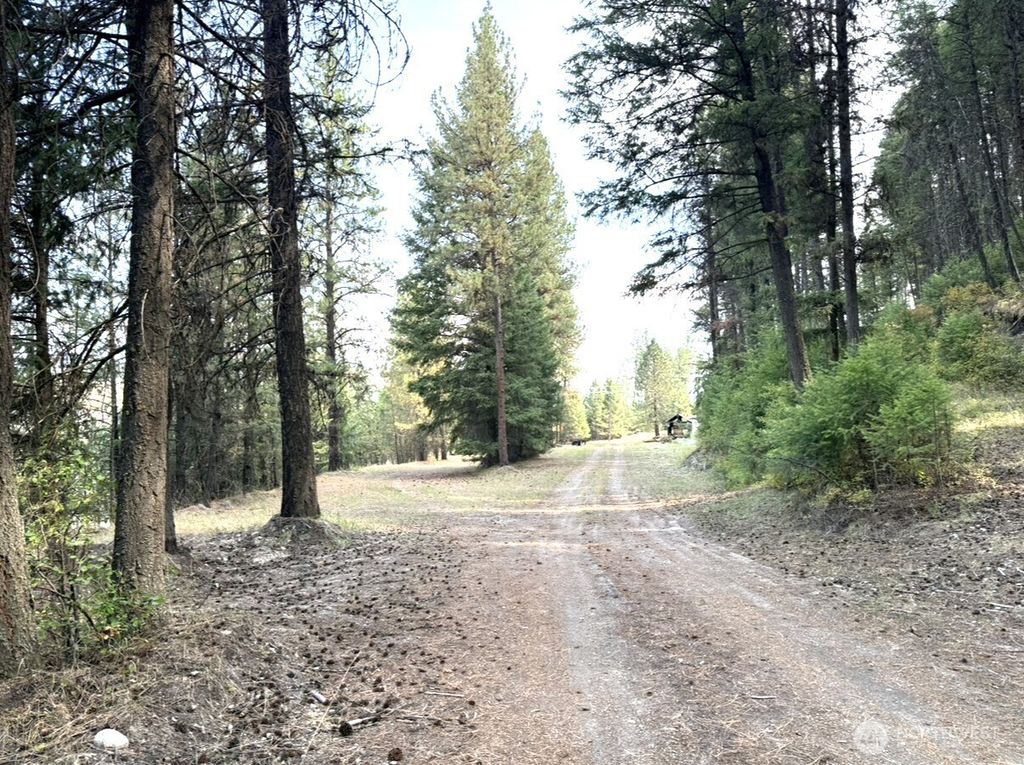 Photo of 30543 Hwy 20 E, Republic, WA 99166 (MLS # 2528947)