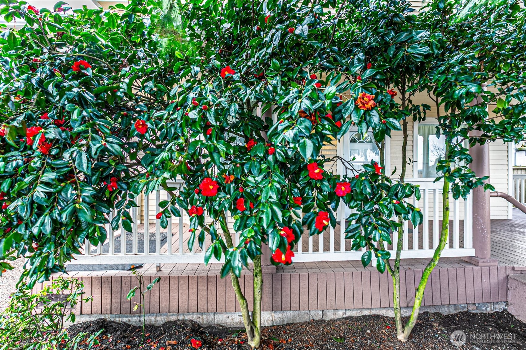 6225 S Puget Sound Avenue