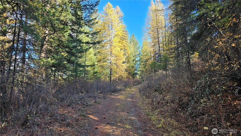700 Dry Gulch Road
