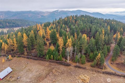 Photo of 700 L Dry Gulch Road, Colville, WA 99114 (MLS # 2455651)