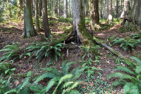 Photo of 14 Harbor View Drive, Bellingham, WA 98229 (MLS # 2586423)