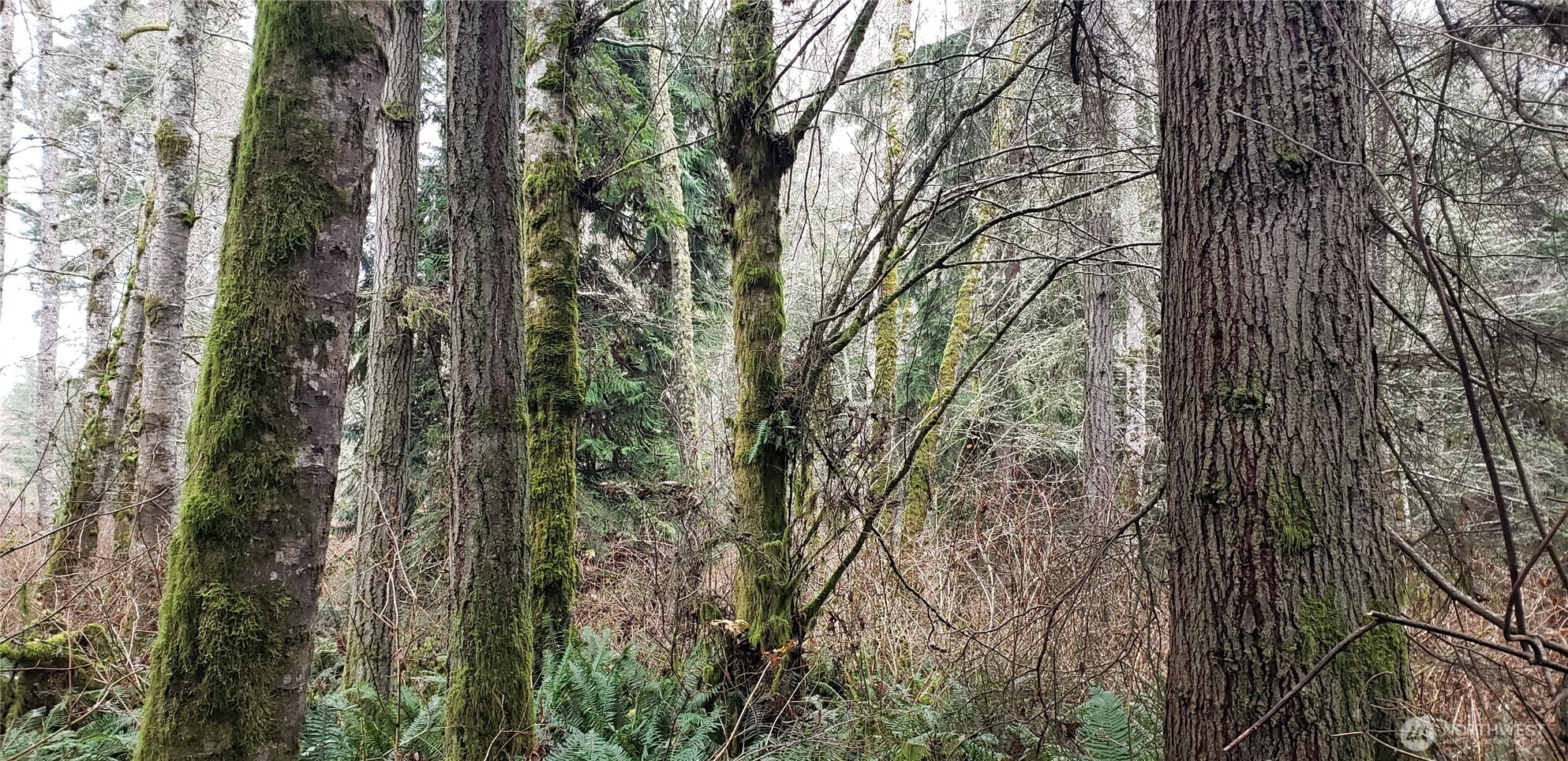 28 NE State Hwy 104