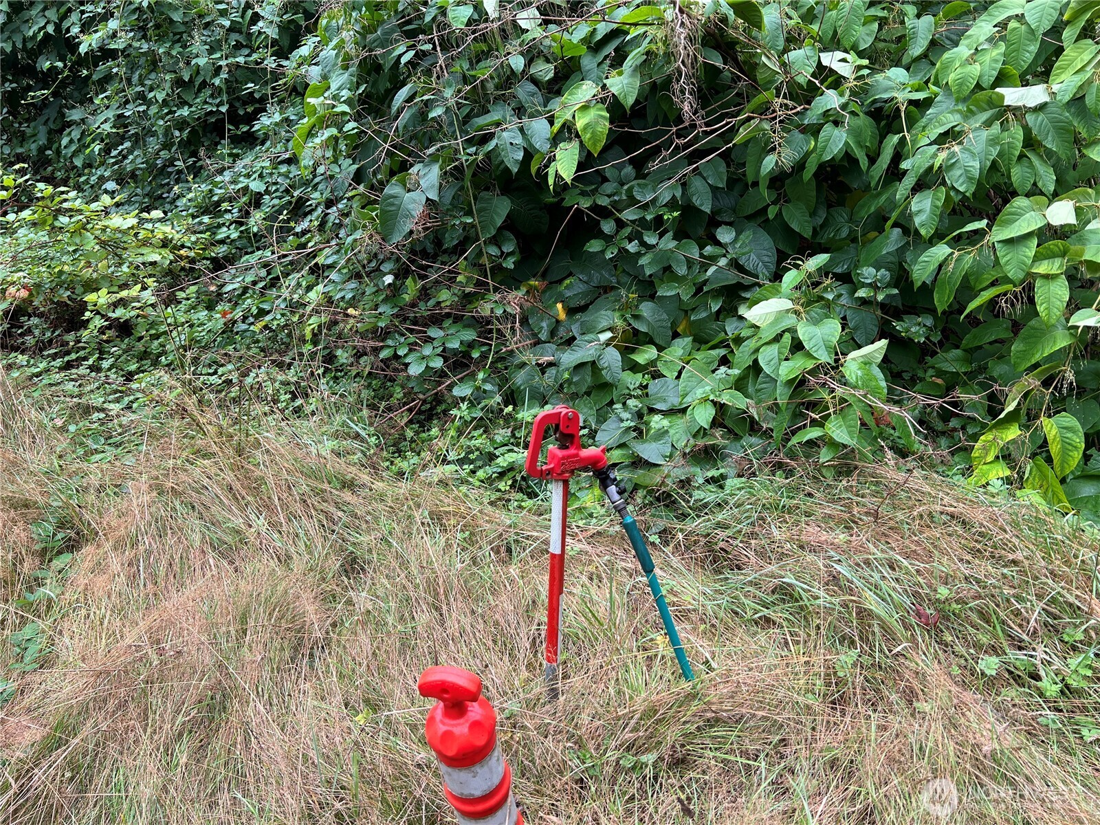 20045 Renton Maple Valley Highway SE