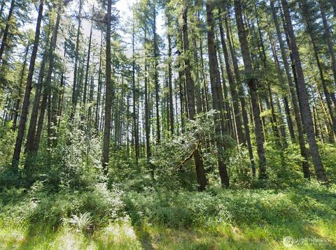 0 Summers Road Centralia WA 98531