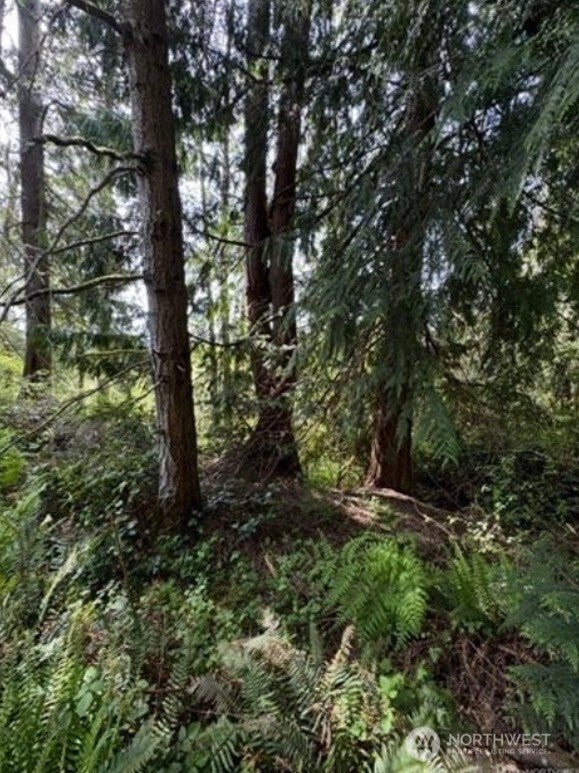 11106 Spruce Dr