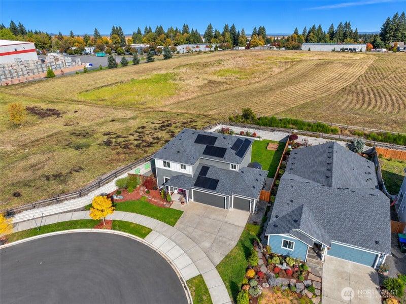 9131 Candytuft Court