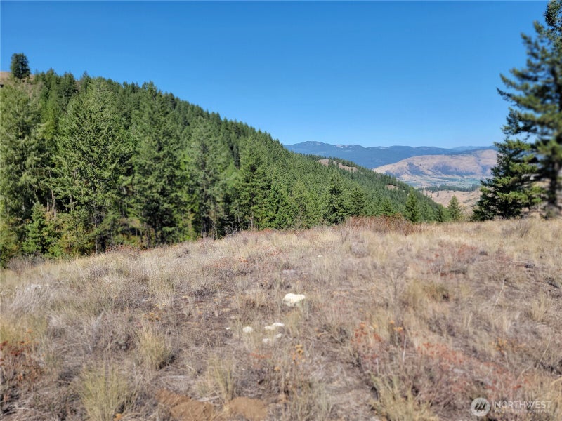 9999 Lone Ranch Rd