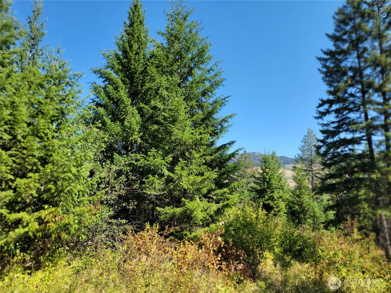 9999 Lone Ranch Rd