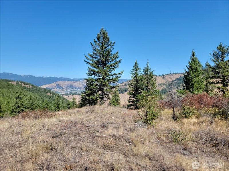 9999 Lone Ranch Rd