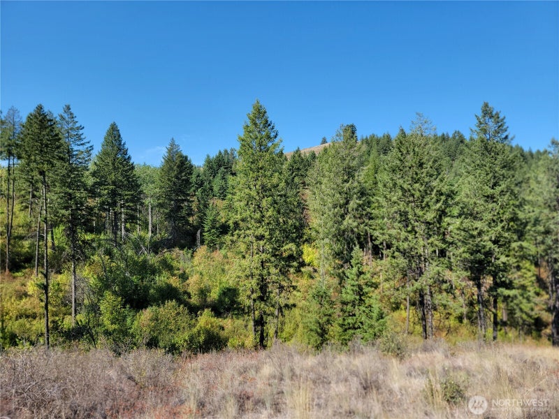 9999 Lone Ranch Rd