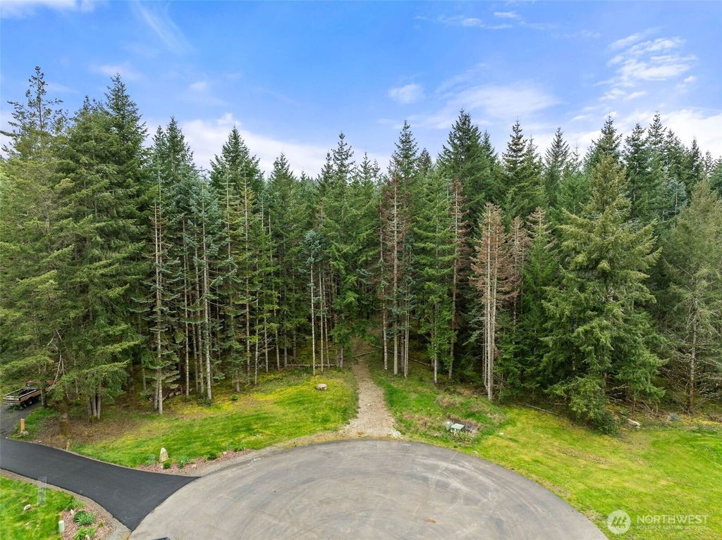 Photo of 14439 Kayson Lane SE, Tenino, WA 98589 (MLS # 2511348)