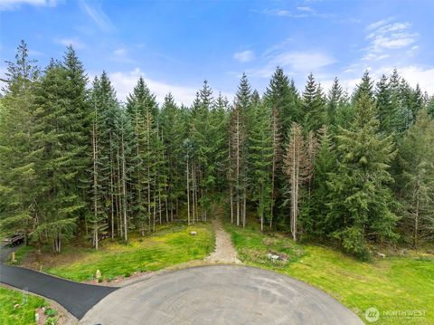 Photo of 14439 Kayson Lane SE, Tenino, WA 98589 (MLS # 2511348)