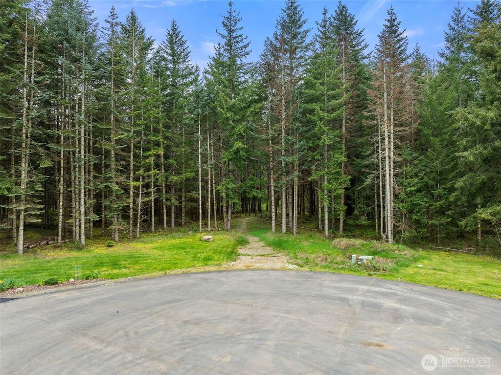 Photo of 14439 Kayson Lane SE, Tenino, WA 98589 (MLS # 2511348)