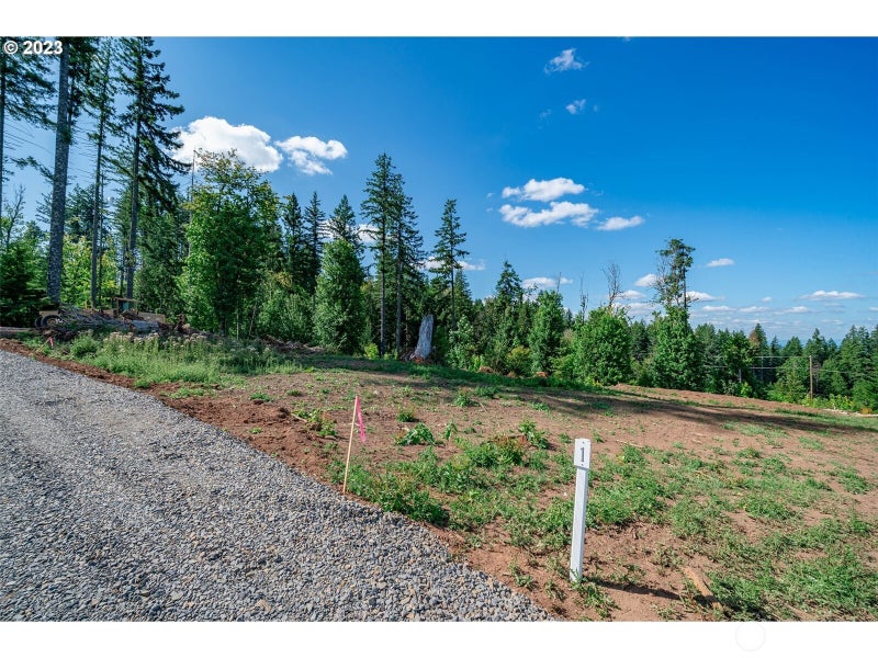 0 S Silver Lake Lot #1 Road